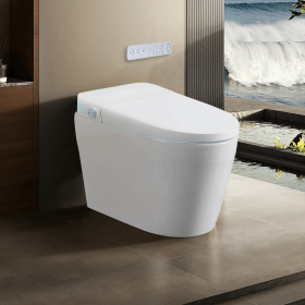 Tankless Smart Toilet With Bidet Built In, One-piece Bidet Toilet Seat, Auto Flush, Auto Open/Close,Heated Seat, Warm Water and Dry, Adjustable T